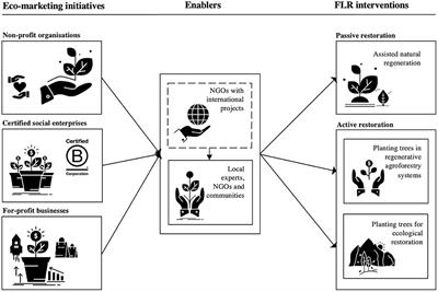 Rooting Forest Landscape Restoration in Consumer Markets—A Review of Existing Marketing-Based Funding Initiatives
